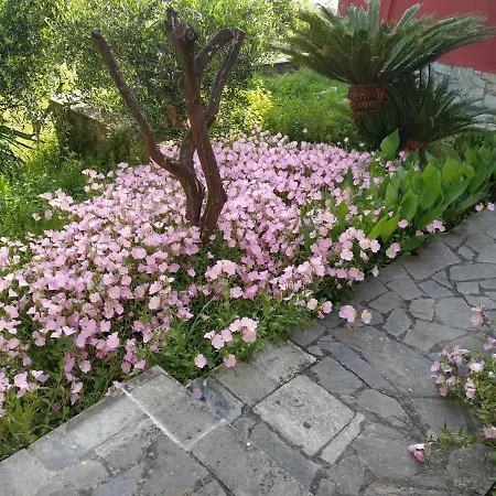 Apartman Kontos Mansion