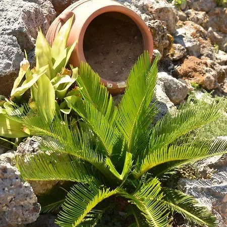 Kontos Mansion Apartman